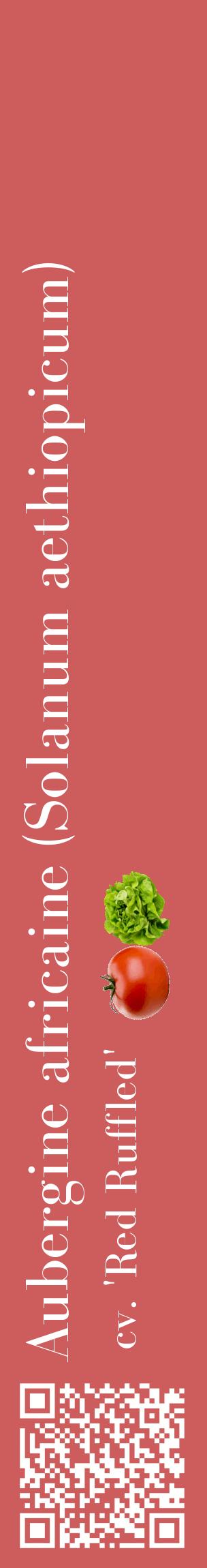 Étiquette de : Solanum aethiopicum cv. 'Red Ruffled' - format c - style blanche35_basiquebod avec qrcode et comestibilité simplifiée