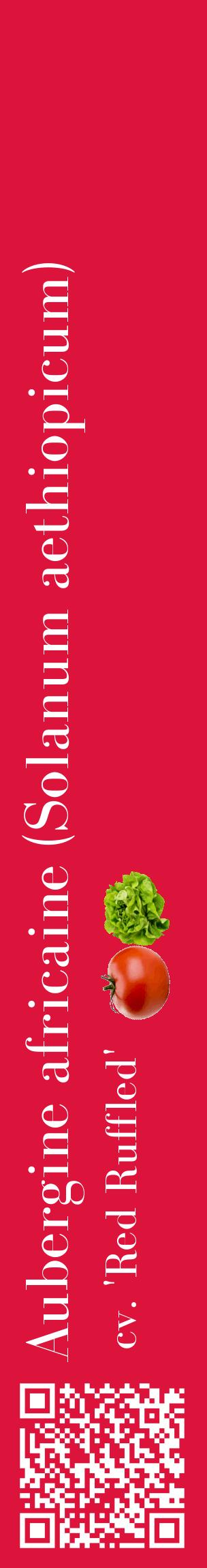 Étiquette de : Solanum aethiopicum cv. 'Red Ruffled' - format c - style blanche36_basiquebod avec qrcode et comestibilité simplifiée