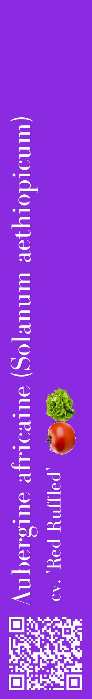 Étiquette de : Solanum aethiopicum cv. 'Red Ruffled' - format c - style blanche49_basiquebod avec qrcode et comestibilité simplifiée