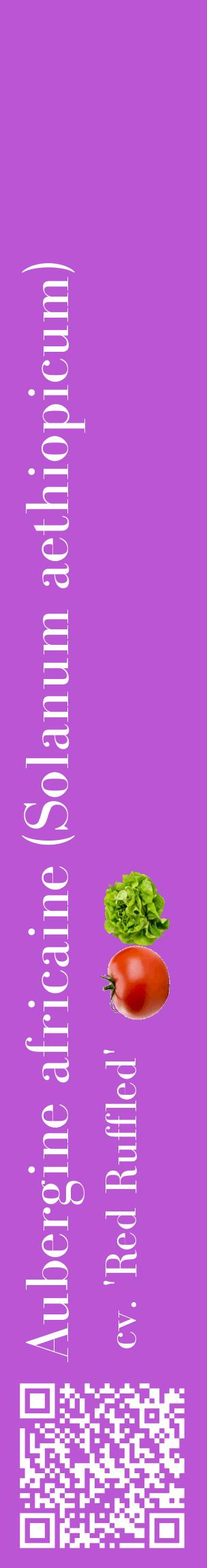 Étiquette de : Solanum aethiopicum cv. 'Red Ruffled' - format c - style blanche50_basiquebod avec qrcode et comestibilité simplifiée