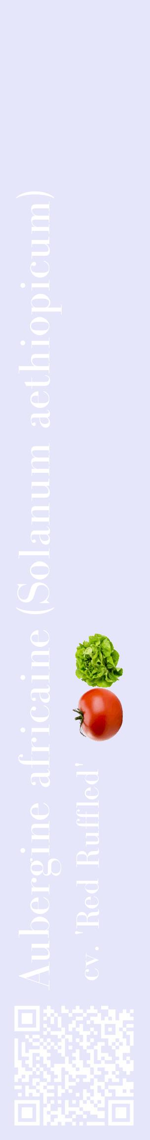 Étiquette de : Solanum aethiopicum cv. 'Red Ruffled' - format c - style blanche55_basiquebod avec qrcode et comestibilité simplifiée