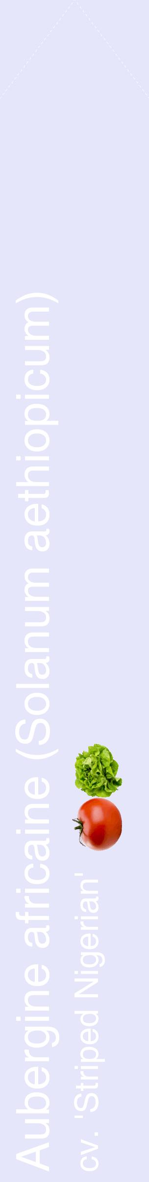Étiquette de : Solanum aethiopicum cv. 'Striped Nigerian' - format c - style blanche55_simplehel avec comestibilité simplifiée