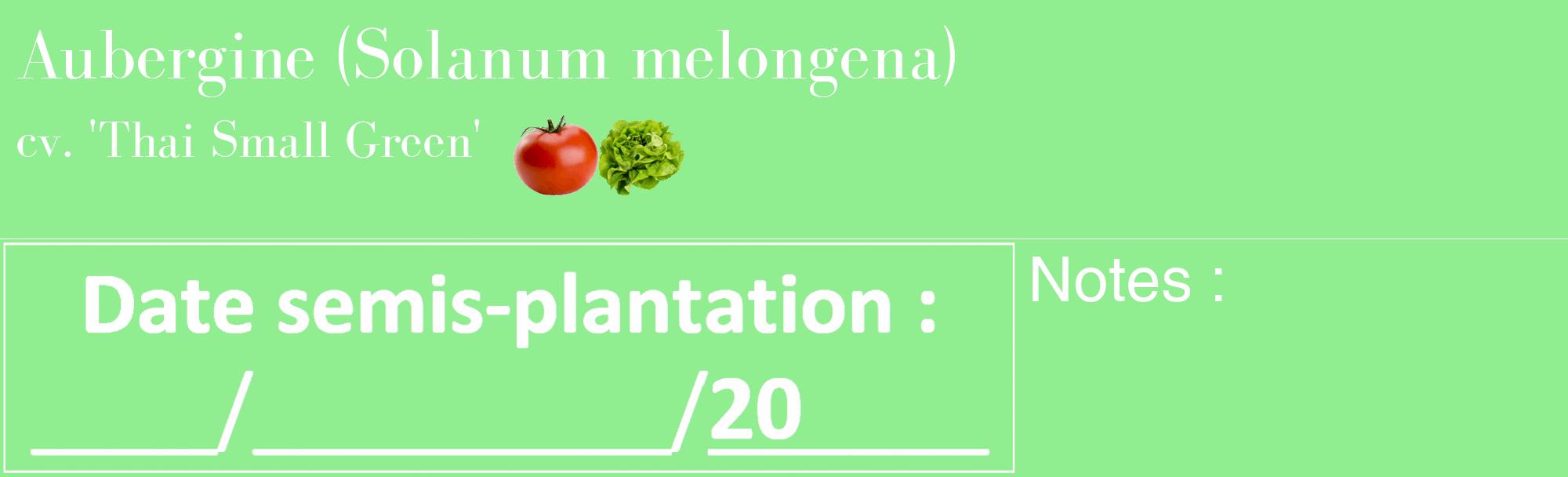 Étiquette de : Solanum melongena cv. 'Thai Small Green' - format c - style blanche15basique_basique_basiquebod avec comestibilité simplifiée