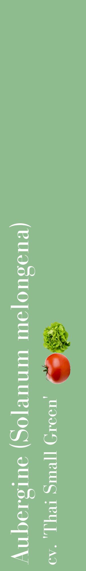Étiquette de : Solanum melongena cv. 'Thai Small Green' - format c - style blanche13_basiquebod avec comestibilité simplifiée