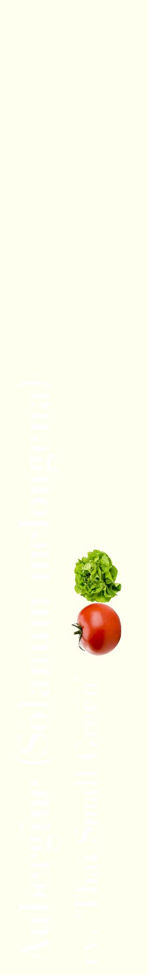 Étiquette de : Solanum melongena cv. 'Thai Small Green' - format c - style blanche19_basiquebod avec comestibilité simplifiée