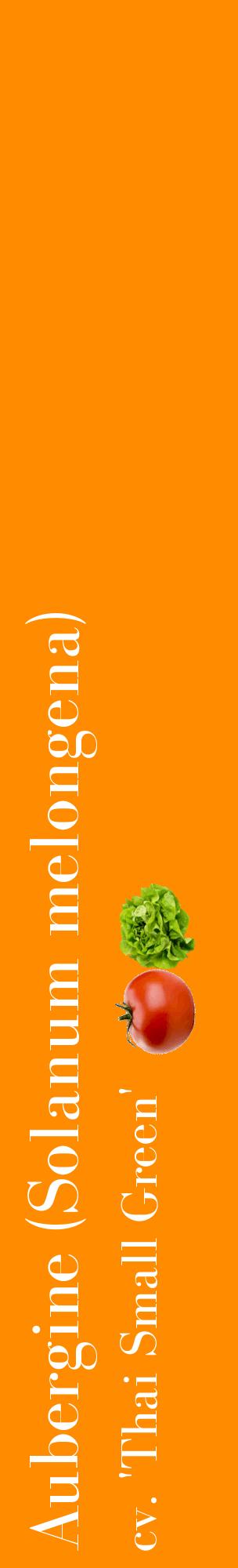 Étiquette de : Solanum melongena cv. 'Thai Small Green' - format c - style blanche23_basiquebod avec comestibilité simplifiée