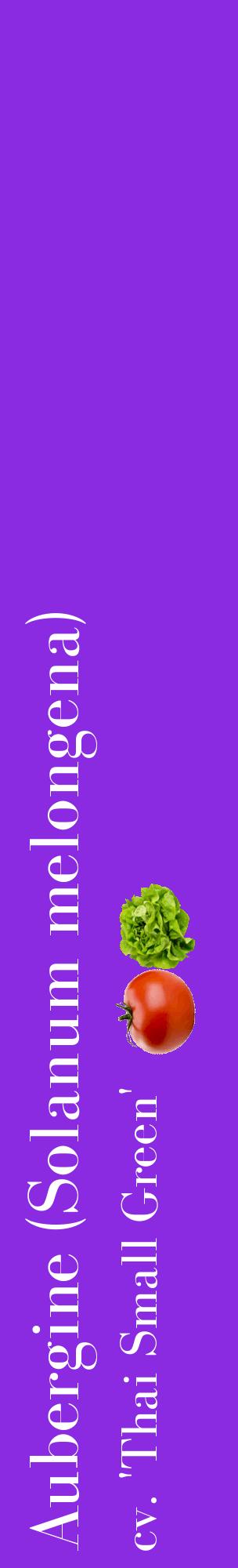 Étiquette de : Solanum melongena cv. 'Thai Small Green' - format c - style blanche49_basiquebod avec comestibilité simplifiée