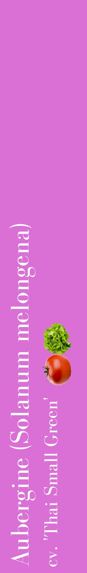 Étiquette de : Solanum melongena cv. 'Thai Small Green' - format c - style blanche52_basiquebod avec comestibilité simplifiée
