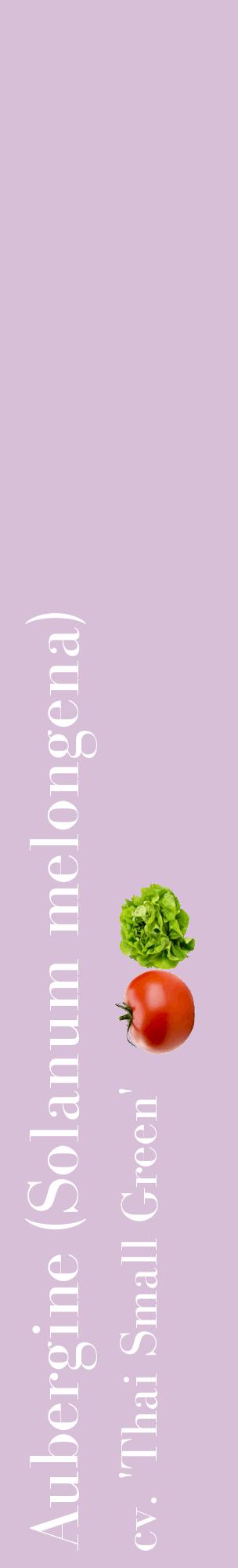 Étiquette de : Solanum melongena cv. 'Thai Small Green' - format c - style blanche54_basiquebod avec comestibilité simplifiée