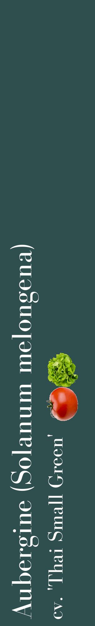Étiquette de : Solanum melongena cv. 'Thai Small Green' - format c - style blanche58_basiquebod avec comestibilité simplifiée