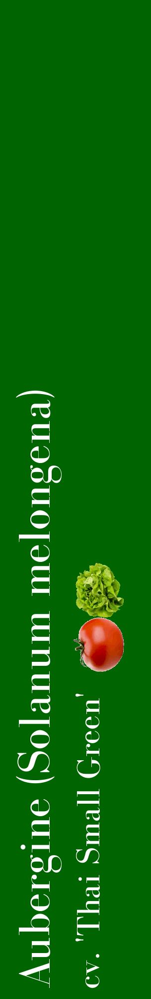 Étiquette de : Solanum melongena cv. 'Thai Small Green' - format c - style blanche8_basiquebod avec comestibilité simplifiée