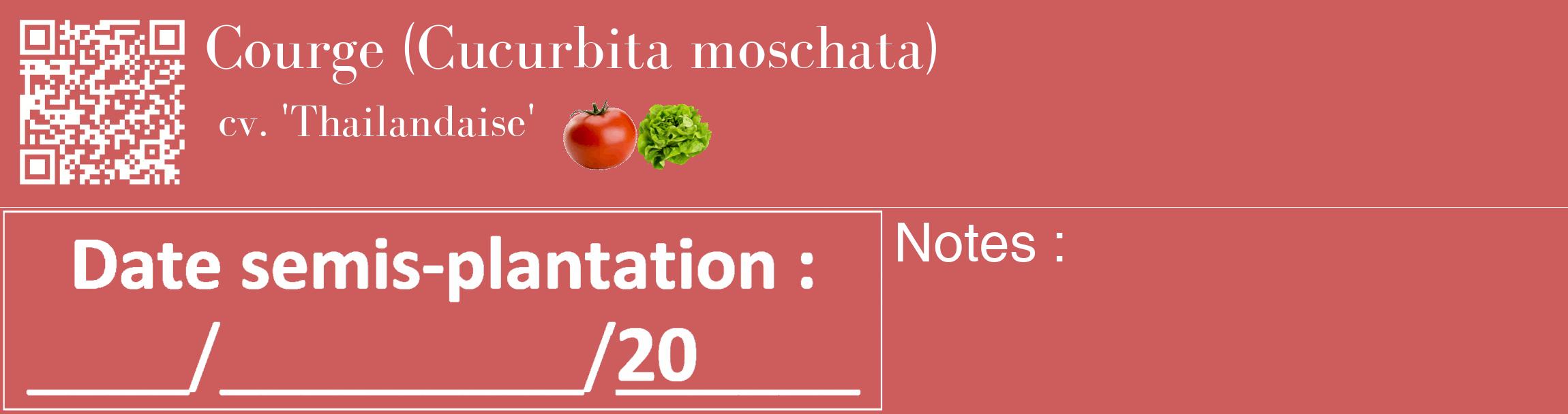 Étiquette de : Cucurbita moschata cv. 'Thailandaise' - format c - style blanche35_basique_basiquebod avec qrcode et comestibilité simplifiée