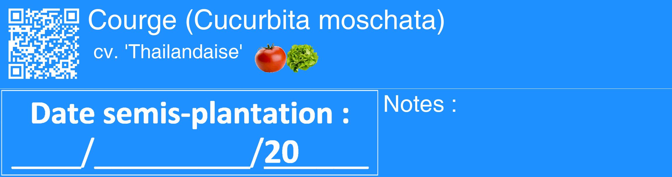 Étiquette de : Cucurbita moschata cv. 'Thailandaise' - format c - style blanche3_basique_basiquehel avec qrcode et comestibilité simplifiée