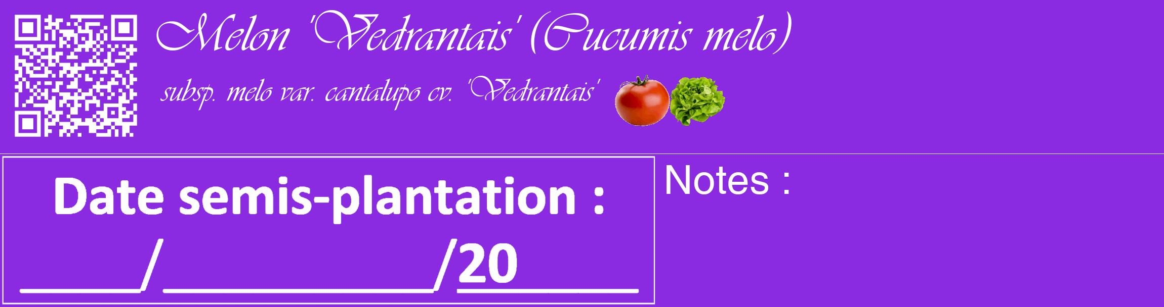 Étiquette de : Cucumis melo subsp. melo var. cantalupo cv. 'Vedrantais' - format c - style blanche49basique_basique_basiqueviv avec qrcode et comestibilité simplifiée