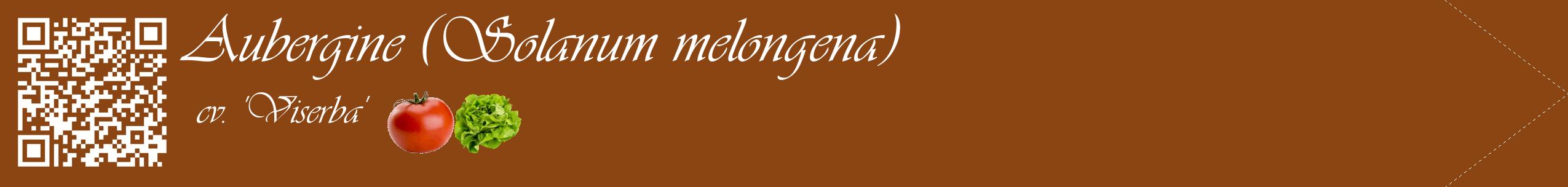 Étiquette de : Solanum melongena cv. 'Viserba' - format c - style blanche30simple_simple_simpleviv avec qrcode et comestibilité simplifiée