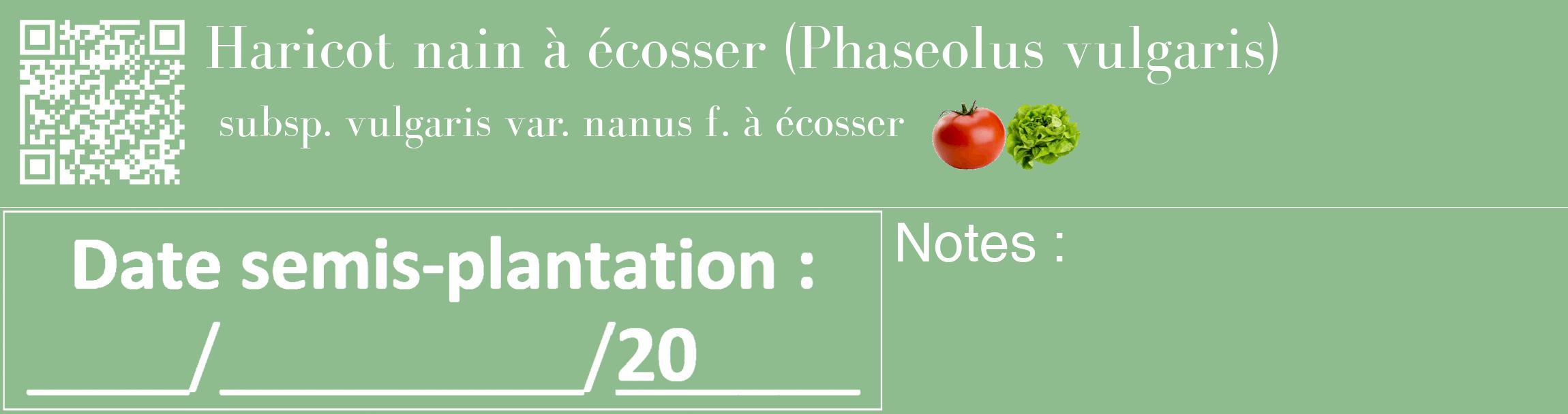 Étiquette de : Phaseolus vulgaris subsp. vulgaris var. nanus f. à écosser - format c - style blanche13_basique_basiquebod avec qrcode et comestibilité simplifiée