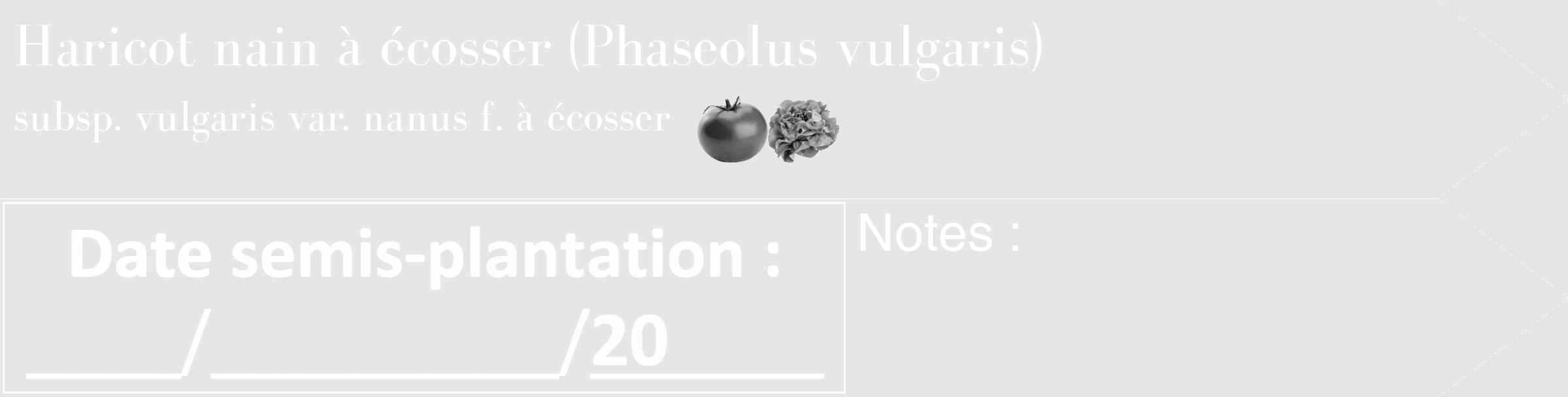 Étiquette de : Phaseolus vulgaris subsp. vulgaris var. nanus f. à écosser - format c - style blanche18_simple_simplebod avec comestibilité simplifiée