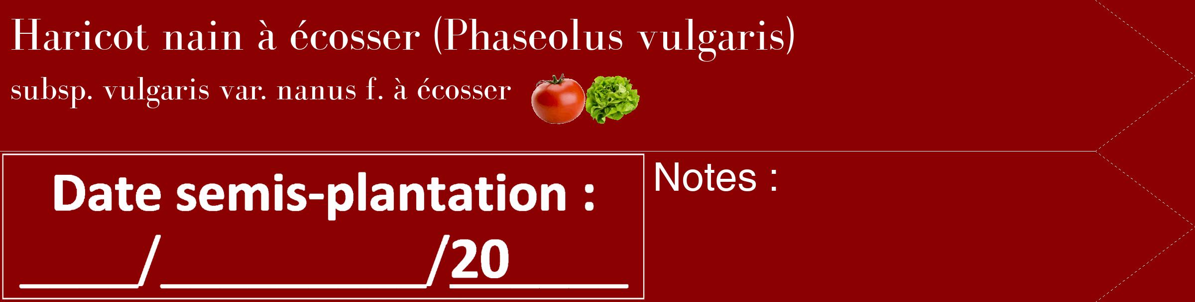 Étiquette de : Phaseolus vulgaris subsp. vulgaris var. nanus f. à écosser - format c - style blanche34_simple_simplebod avec comestibilité simplifiée