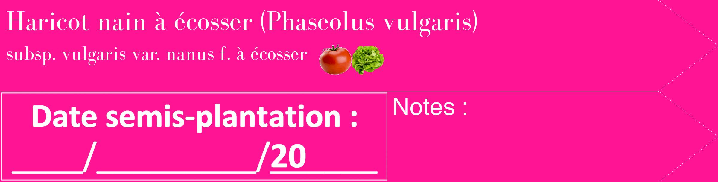 Étiquette de : Phaseolus vulgaris subsp. vulgaris var. nanus f. à écosser - format c - style blanche43_simple_simplebod avec comestibilité simplifiée