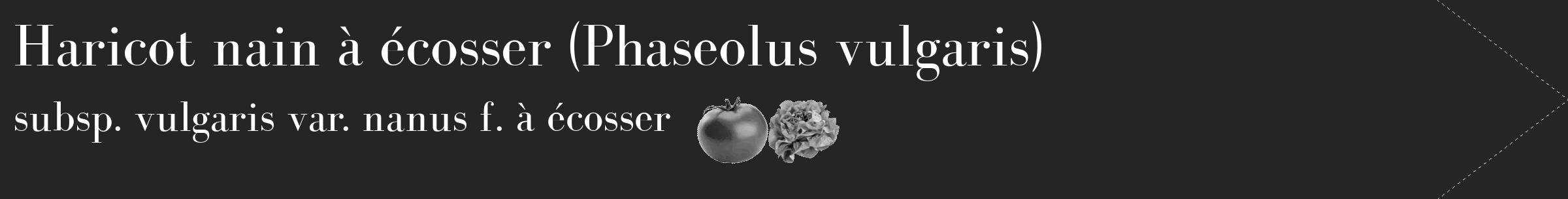 Étiquette de : Phaseolus vulgaris subsp. vulgaris var. nanus f. à écosser - format c - style blanche47_simple_simplebod avec comestibilité simplifiée
