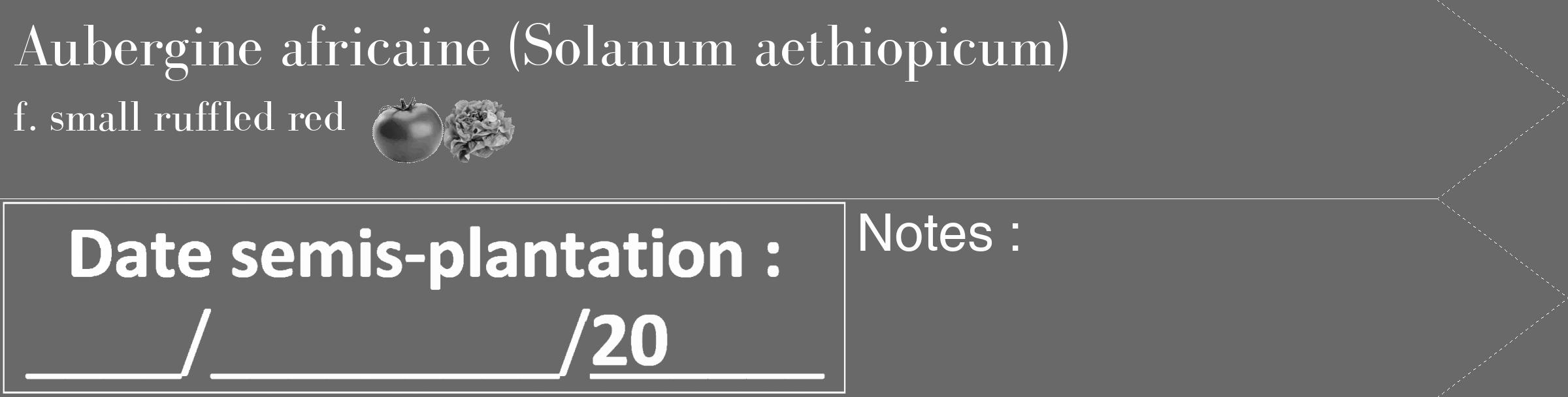 Étiquette de : Solanum aethiopicum f. small ruffled red - format c - style blanche11_simple_simplebod avec comestibilité simplifiée