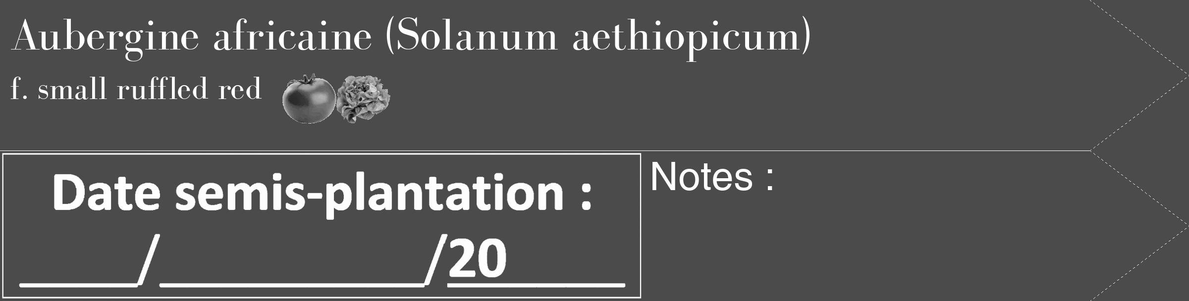 Étiquette de : Solanum aethiopicum f. small ruffled red - format c - style blanche9_simple_simplebod avec comestibilité simplifiée