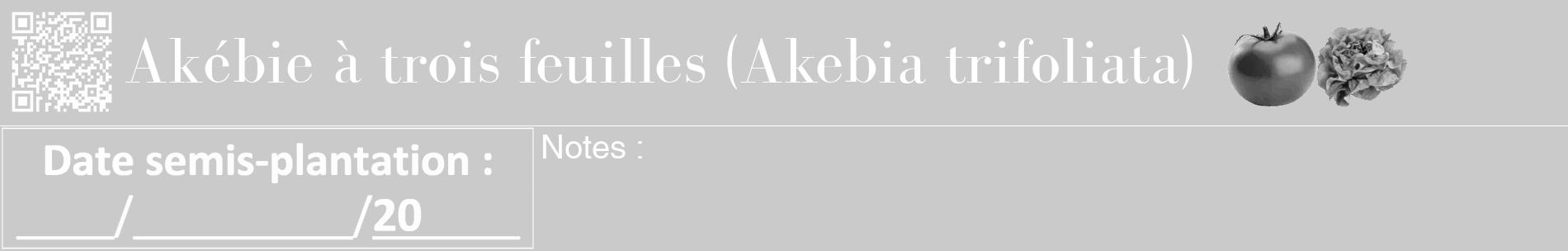 Étiquette de : Akebia trifoliata - format a - style blanche21basiquebod avec qrcode et comestibilité simplifiée