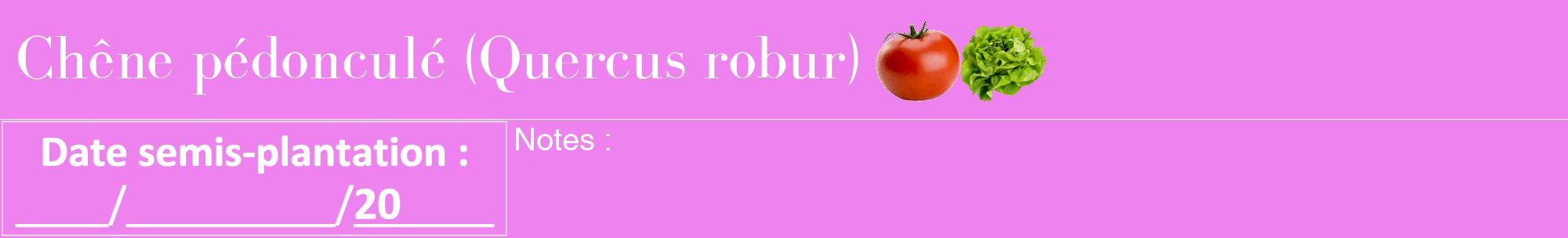 Étiquette de : Quercus robur - format a - style blanche53bod avec comestibilité simplifiée