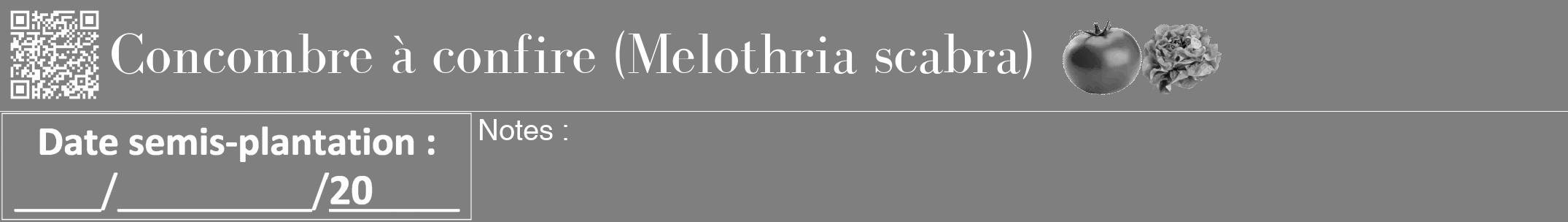 Étiquette de : Melothria scabra - format a - style blanche31bod avec qrcode et comestibilité simplifiée