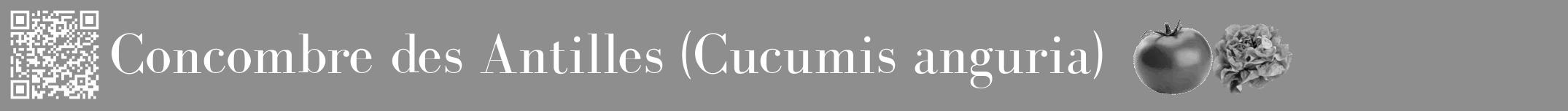 Étiquette de : Cucumis anguria - format a - style blanche25basiquebod avec qrcode et comestibilité simplifiée