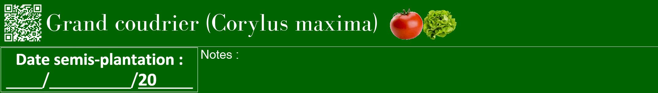 Étiquette de : Corylus maxima - format a - style blanche8bod avec qrcode et comestibilité simplifiée