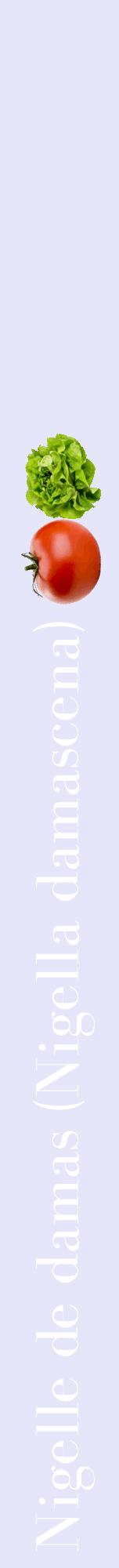 Étiquette de : Nigella damascena - format a - style blanche55bod avec comestibilité simplifiée