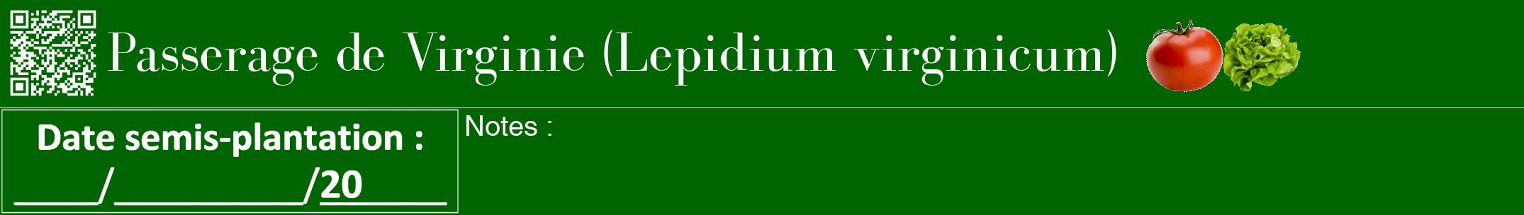 Étiquette de : Lepidium virginicum - format a - style blanche8bod avec qrcode et comestibilité simplifiée