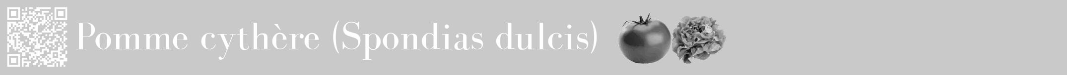 Étiquette de : Spondias dulcis - format a - style blanche54bod avec qrcode et comestibilité simplifiée