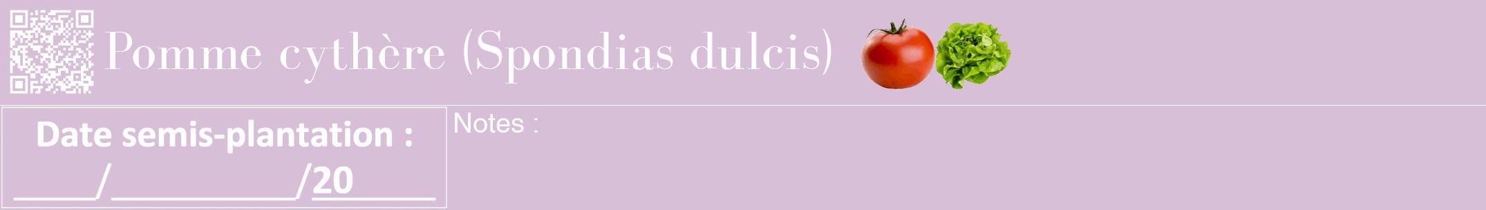 Étiquette de : Spondias dulcis - format a - style blanche54bod avec qrcode et comestibilité simplifiée