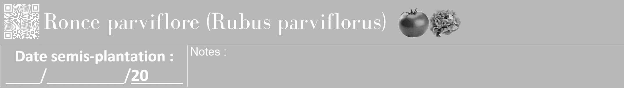 Étiquette de : Rubus parviflorus - format a - style blanche39bod avec qrcode et comestibilité simplifiée