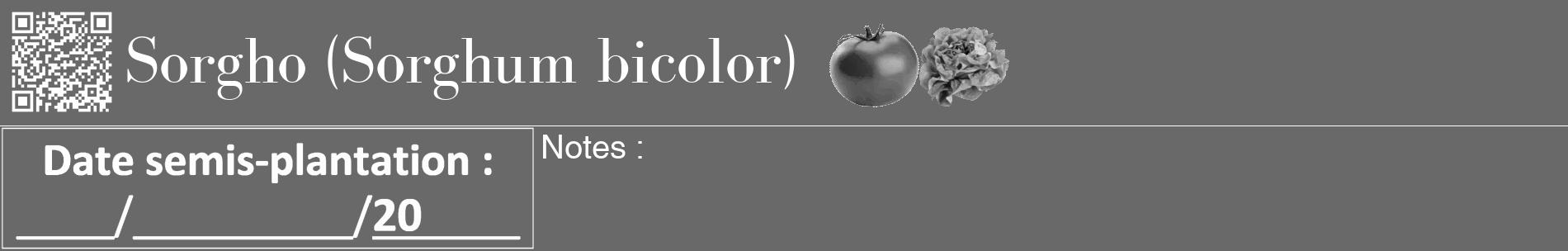 Étiquette de : Sorghum bicolor - format a - style blanche11basiquebod avec qrcode et comestibilité simplifiée