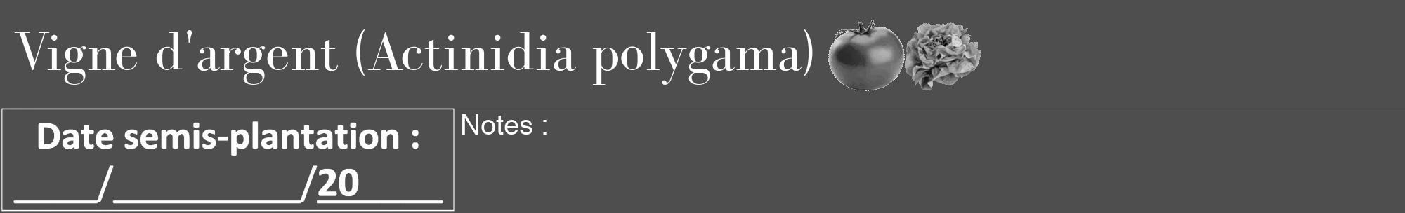 Étiquette de : Actinidia polygama - format a - style blanche33bod avec comestibilité simplifiée