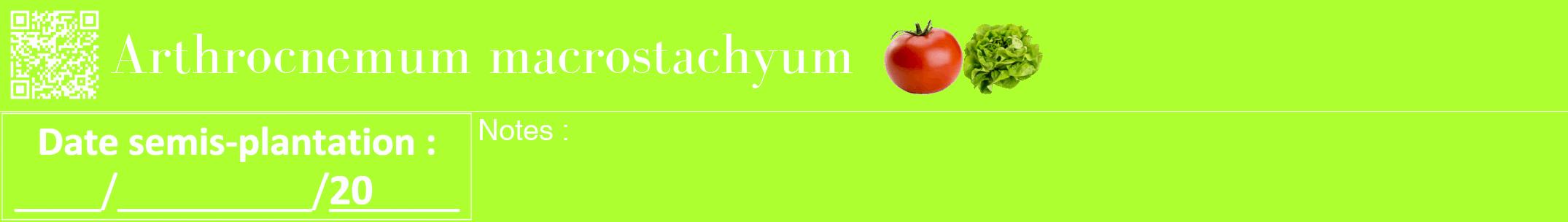 Étiquette de : Arthrocnemum macrostachyum - format a - style blanche17bod avec qrcode et comestibilité simplifiée