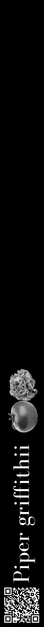 Étiquette de : Piper griffithii - format a - style blanche59bod avec qrcode et comestibilité simplifiée - position verticale