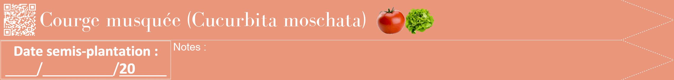 Étiquette de : Cucurbita moschata - format b - style blanche37bod avec qrcode et comestibilité simplifiée