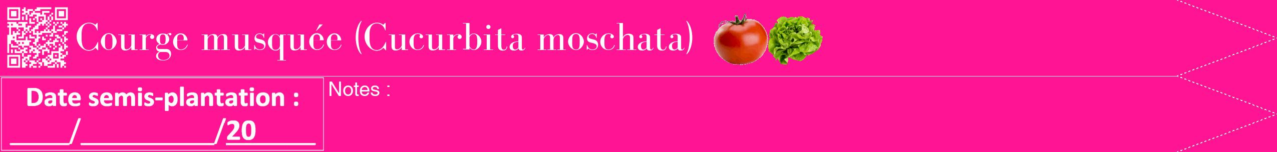 Étiquette de : Cucurbita moschata - format b - style blanche43bod avec qrcode et comestibilité simplifiée