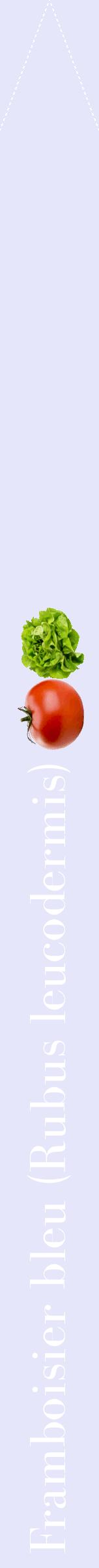 Étiquette de : Rubus leucodermis - format b - style blanche55bod avec comestibilité simplifiée
