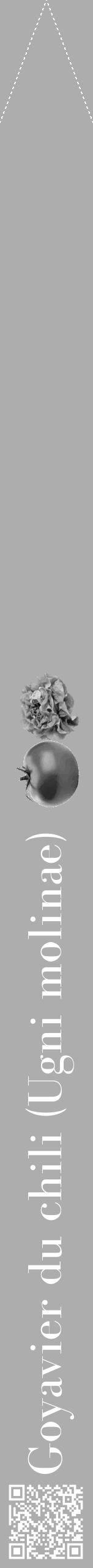 Étiquette de : Ugni molinae - format b - style blanche22bod avec qrcode et comestibilité simplifiée - position verticale