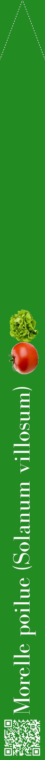 Étiquette de : Solanum villosum - format b - style blanche10bod avec qrcode et comestibilité simplifiée