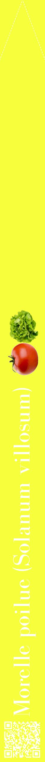 Étiquette de : Solanum villosum - format b - style blanche18bod avec qrcode et comestibilité simplifiée