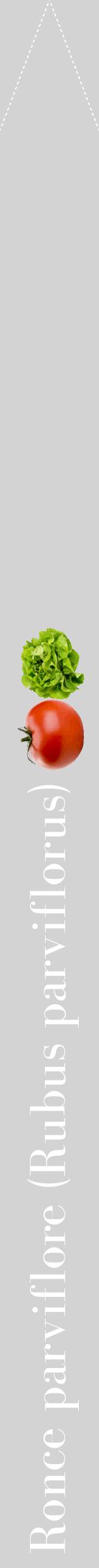 Étiquette de : Rubus parviflorus - format b - style blanche56bod avec comestibilité simplifiée