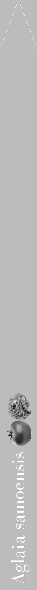 Étiquette de : Aglaia samoensis - format b - style blanche1bod avec comestibilité simplifiée - position verticale