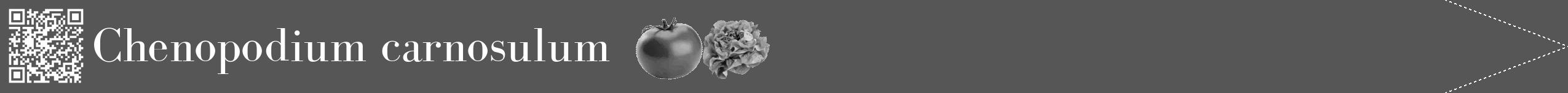 Étiquette de : Chenopodium carnosulum - format b - style blanche45simplebod avec qrcode et comestibilité simplifiée