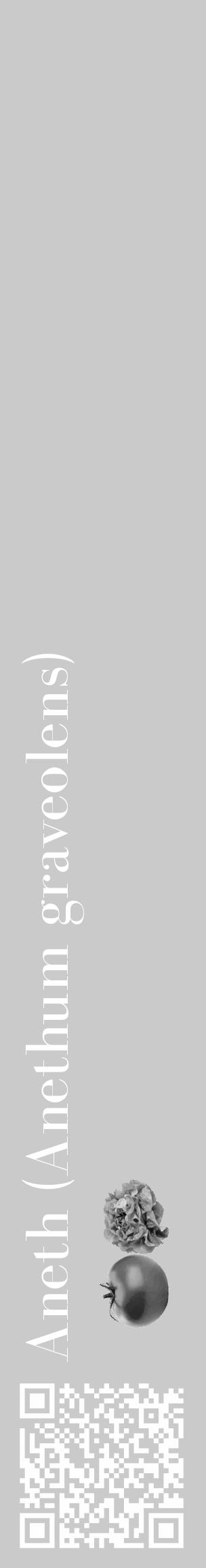 Étiquette de : Anethum graveolens - format c - style blanche21_basique_basiquebod avec qrcode et comestibilité simplifiée - position verticale